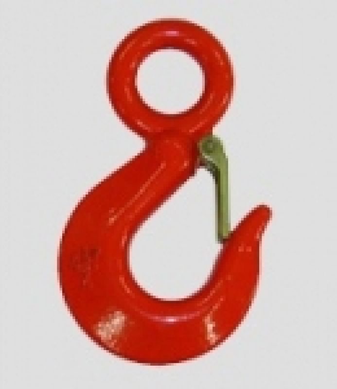 Eye Hook With Safety Latch 2