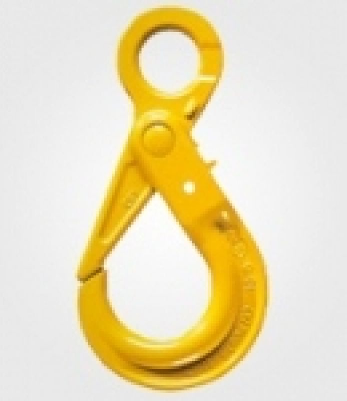 Eye Hook With Safety Latch