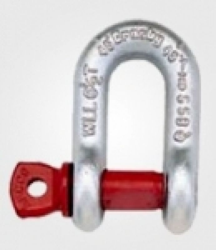 Screw Pin Chain Shackles