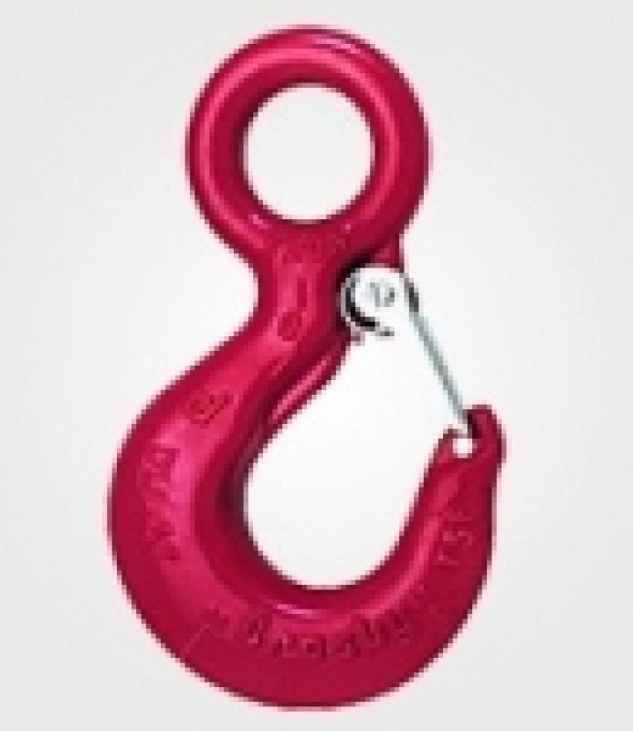 Eye Hook With Safety Latch 3